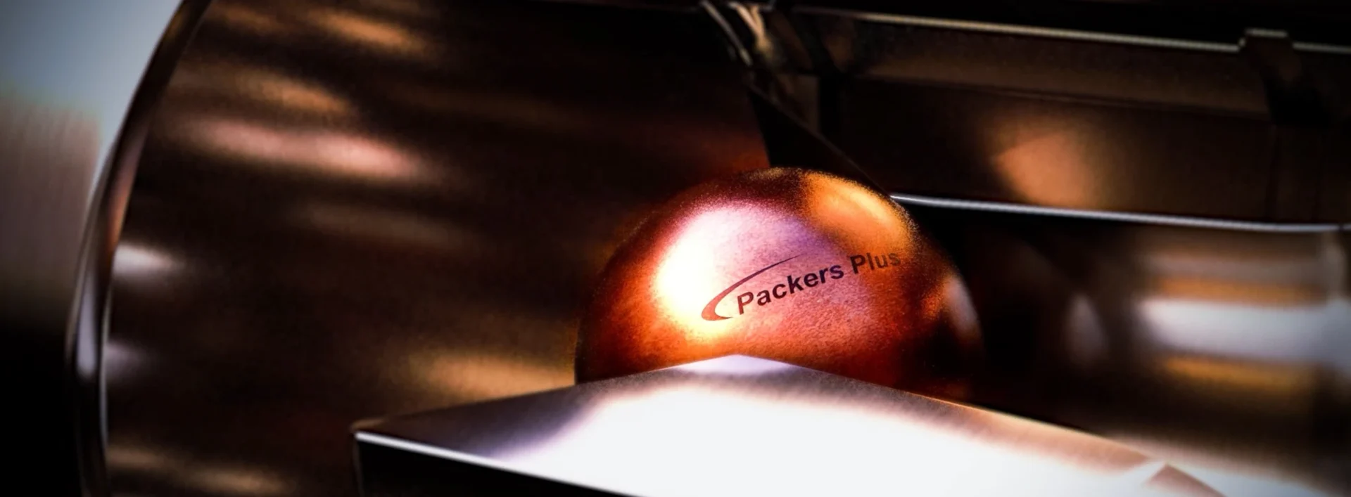 A rendering of the Packers Plus ball used in many systems.
